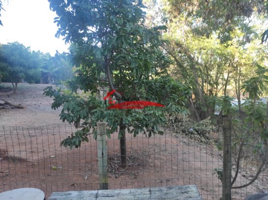 terreno-venda-vespasiano-bairro-sao-damiao-avenida-um-76-766552