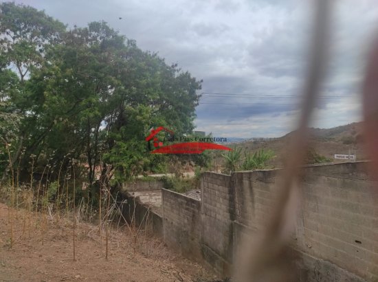 terreno-venda-vespasiano-bairro-sao-damiao-avenida-um-76-766594