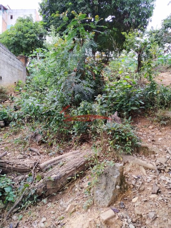 lote-venda-vespasiano-bairro-santa-clara-575354