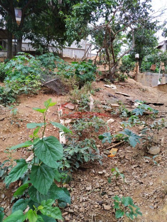 lote-venda-vespasiano-bairro-santa-clara-575356