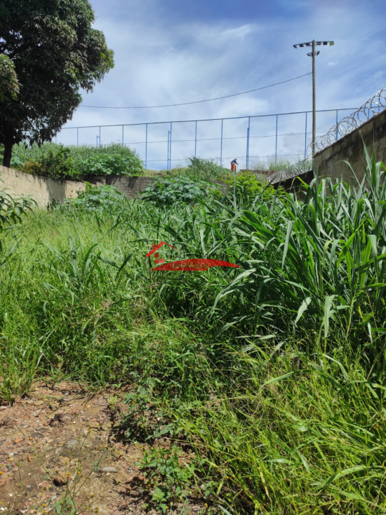 lote-venda-gavea-i-vespasiano-1086360